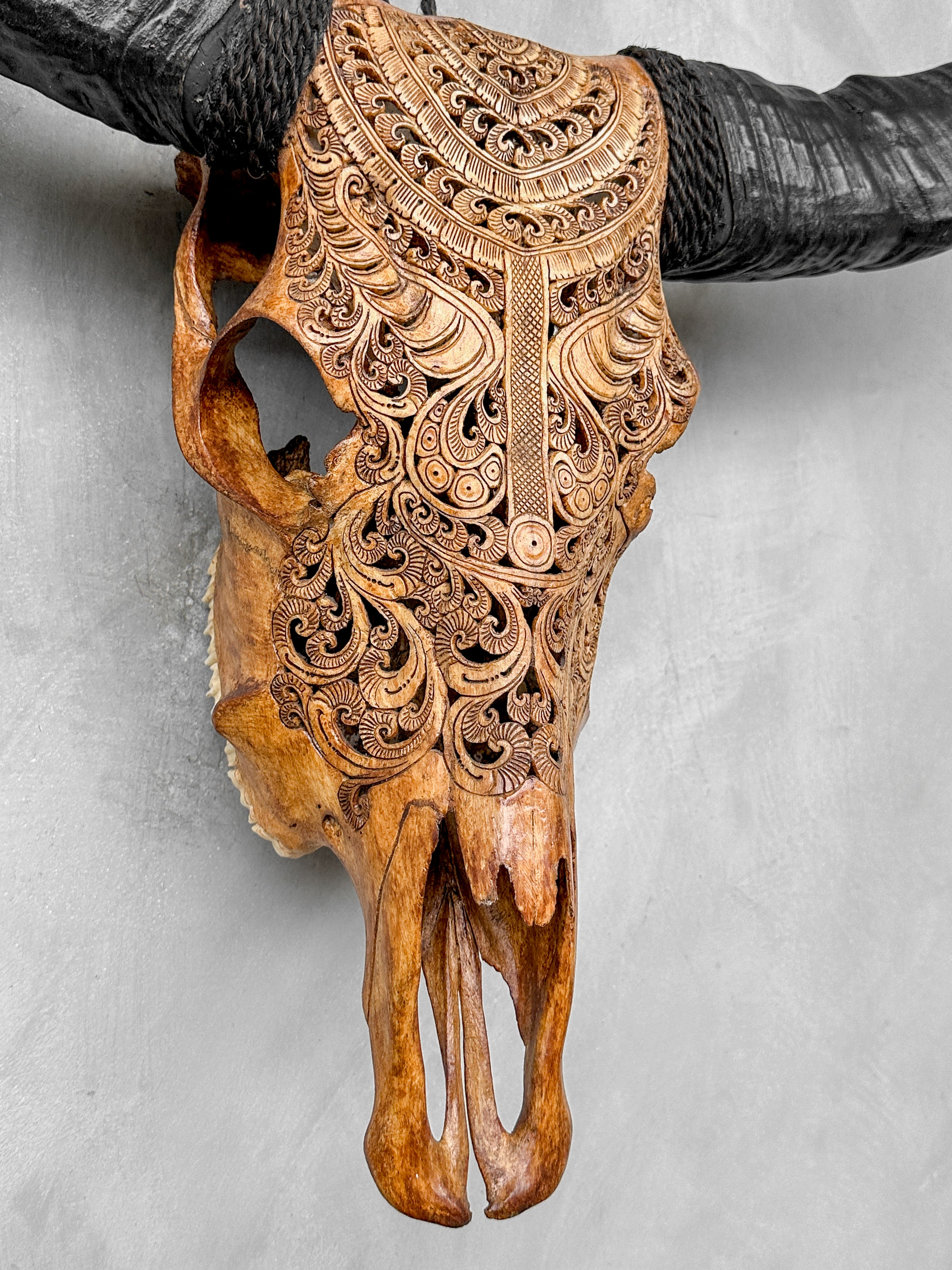 Carved Buffalo Skull with Horns – Real Bone Wall Art from Bali | Badong Motif | Tribal Home Decor | Ethically Sourced Skull - Skull,A/110