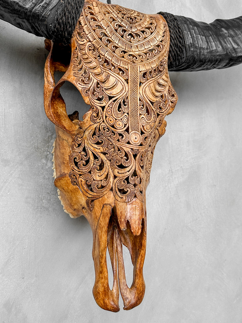 Brown Carved Buffalo Skulls with Badong motif | Skull,A/110