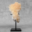 Beautiful Quartz Crystal cluster on a custom stand CC/583