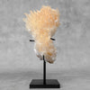 Beautiful Quartz Crystal cluster on a custom stand CC/583