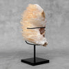 Beautiful Quartz Crystal cluster on a custom stand CC/583