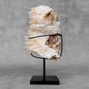 Beautiful Quartz Crystal cluster on a custom stand CC/583