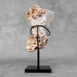 Beautiful Quartz Crystal cluster on a custom stand CC/583