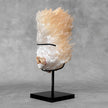 Beautiful Quartz Crystal cluster on a custom stand CC/583