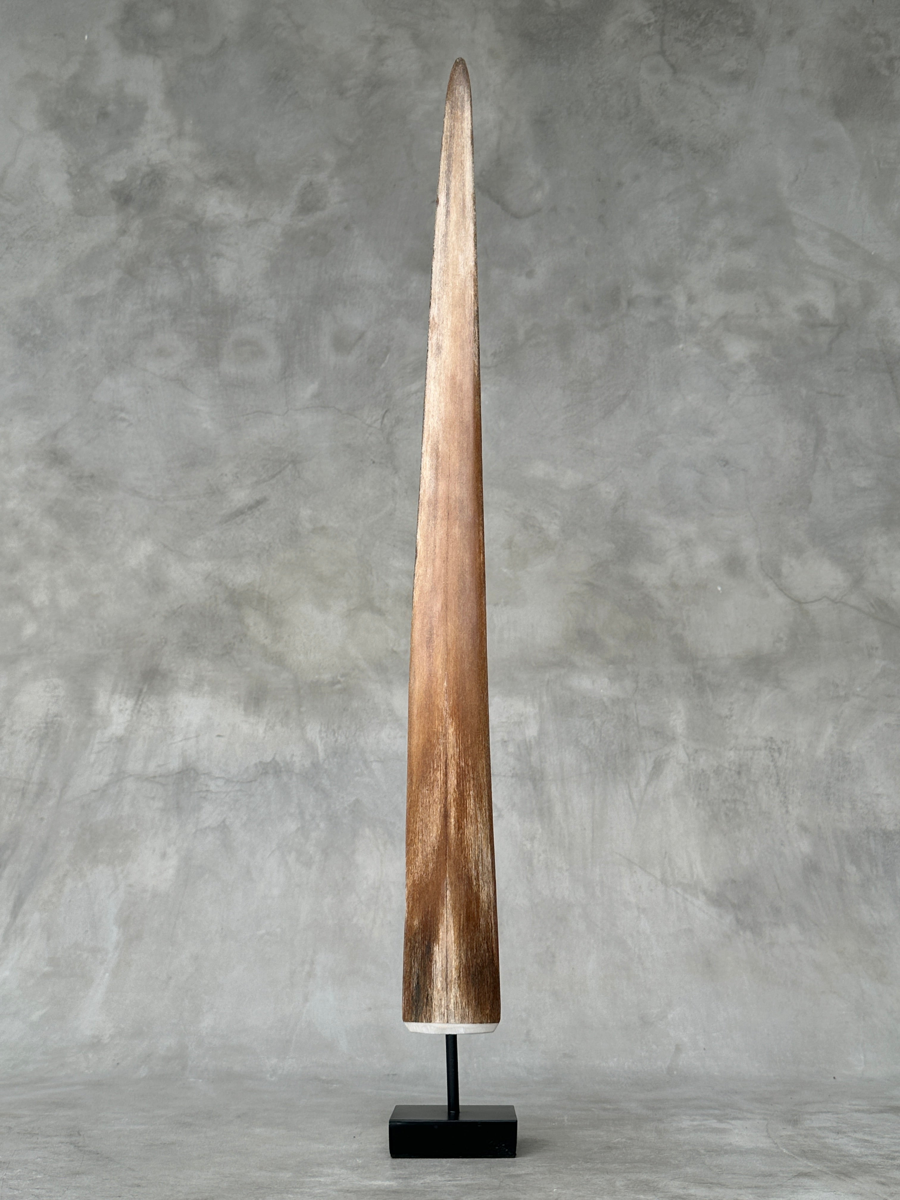 Swordfish - Vertical  - Tusk,A/006