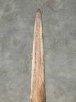 Swordfish - Vertical  - Tusk,A/006