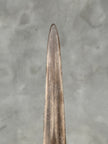 Swordfish - Vertical  - Tusk,A/006