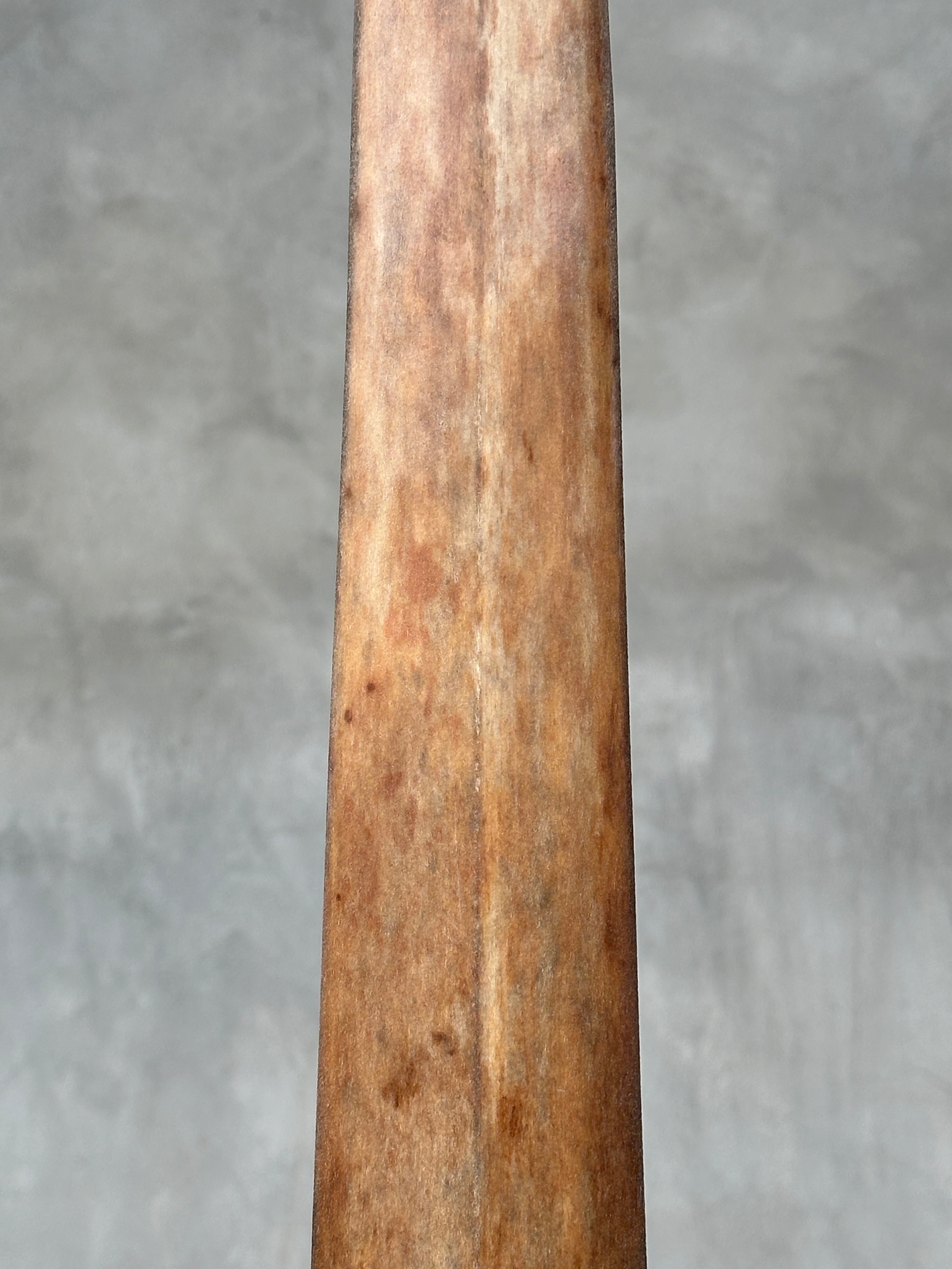 Swordfish - Vertical  - Tusk,A/005