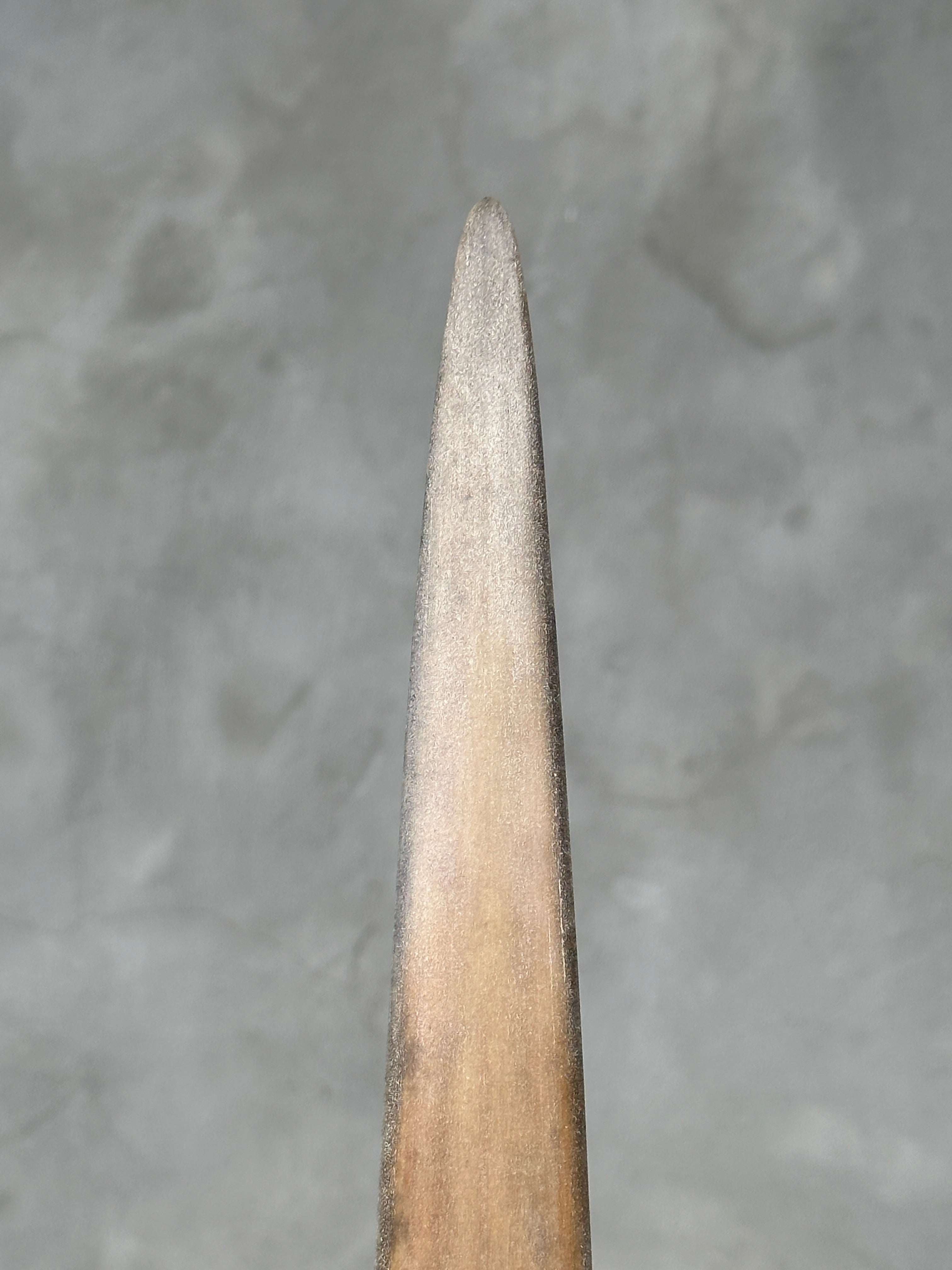 Swordfish - Vertical  - Tusk,A/005