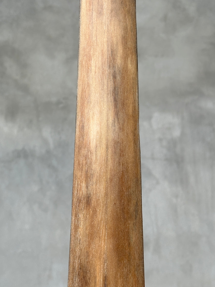 Swordfish - Vertical  - Tusk,A/010