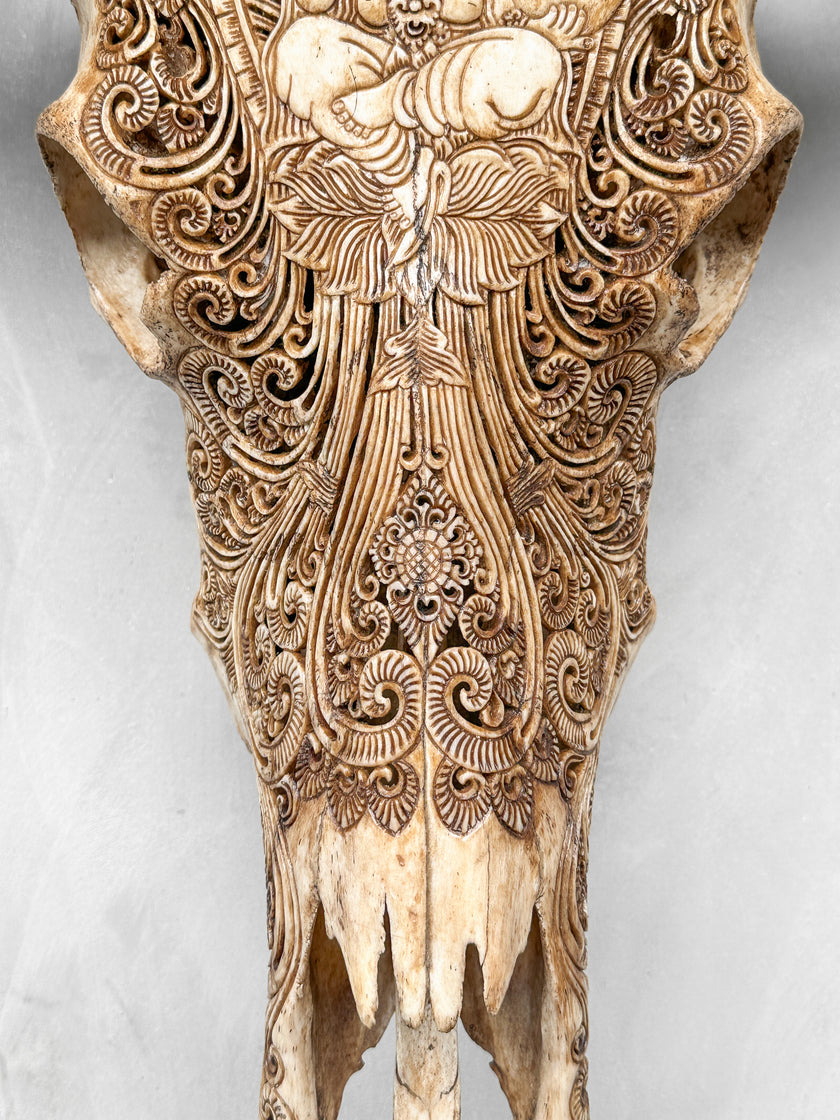 Caved Waterbuffalo Skulls with Ganesha Carving Skull,A/091