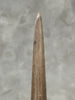 Swordfish - Vertical  - Tusk,A/010