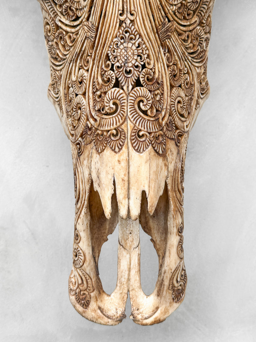Caved Waterbuffalo Skulls with Ganesha Carving Skull,A/091