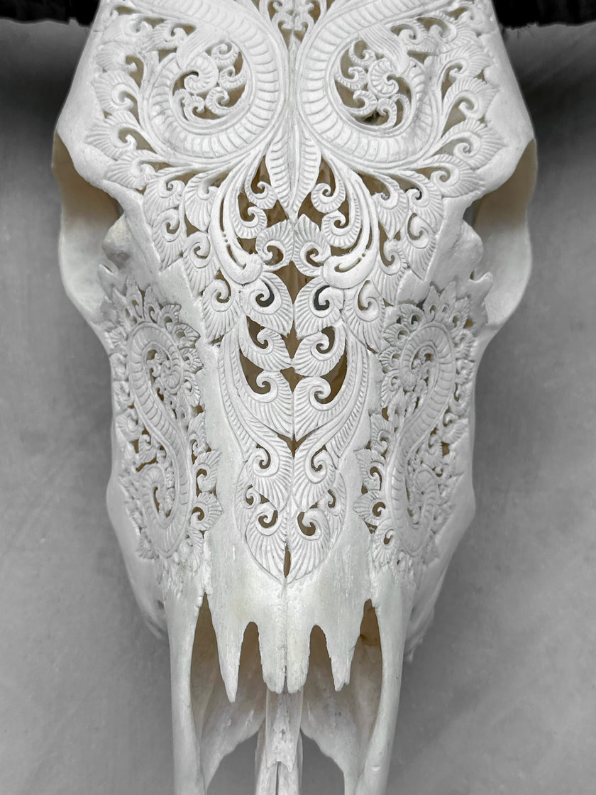 Carved Buffalo Skull with Leaf Motif - White Wall Art Decor for Boho, Rustic & Eclectic Interiors