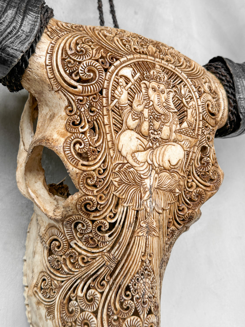 Caved Waterbuffalo Skulls with Ganesha Carving Skull,A/091