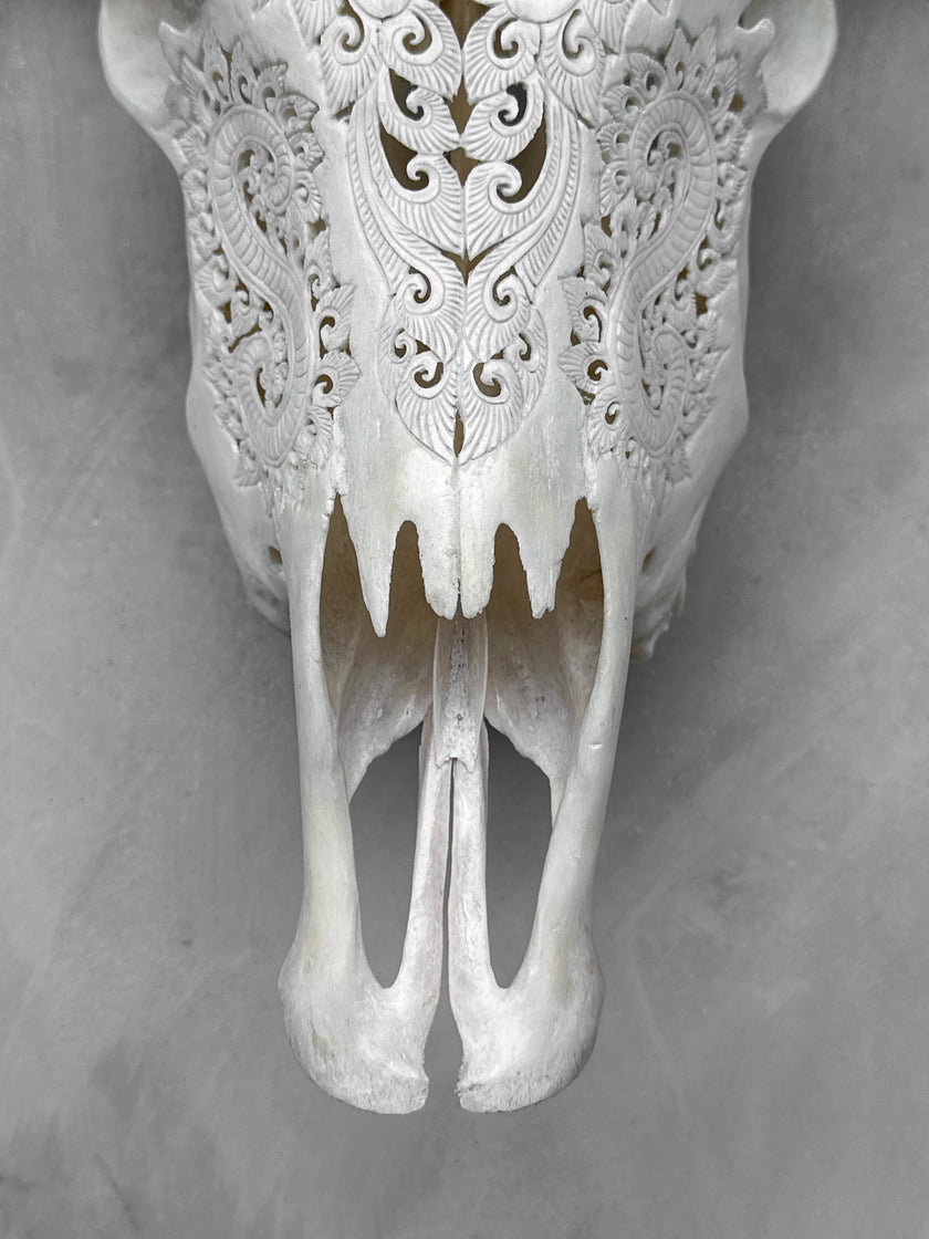 Carved Buffalo Skull with Leaf Motif - White Wall Art Decor for Boho, Rustic & Eclectic Interiors