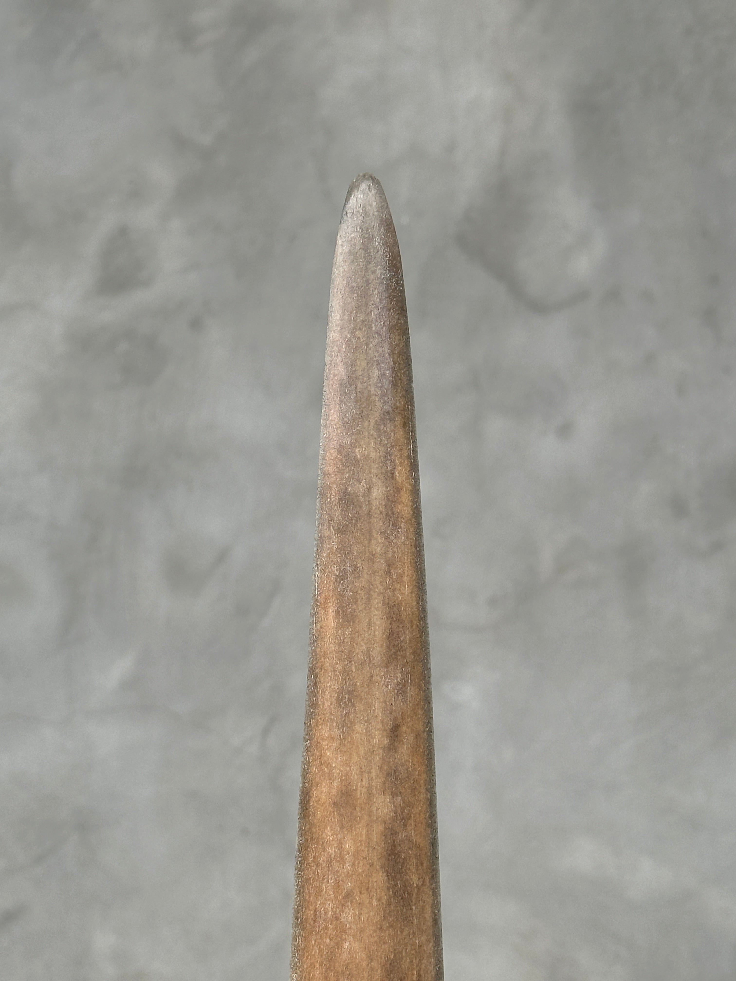 Swordfish - Vertical  - Tusk,A/009