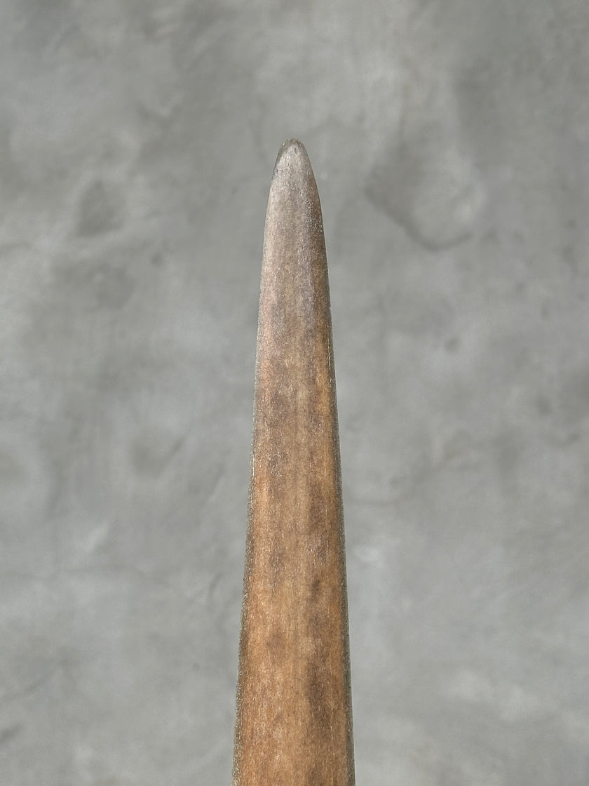 Swordfish - Vertical  - Tusk,A/009