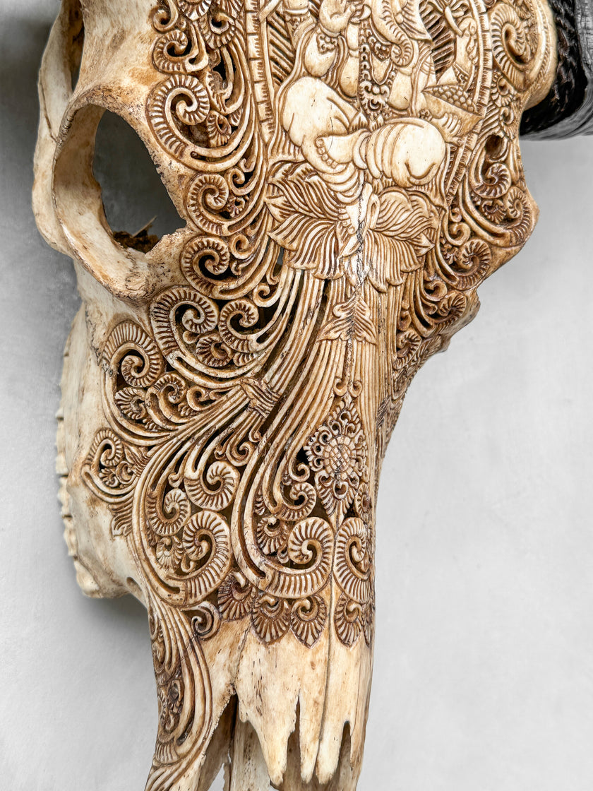 Caved Waterbuffalo Skulls with Ganesha Carving Skull,A/091