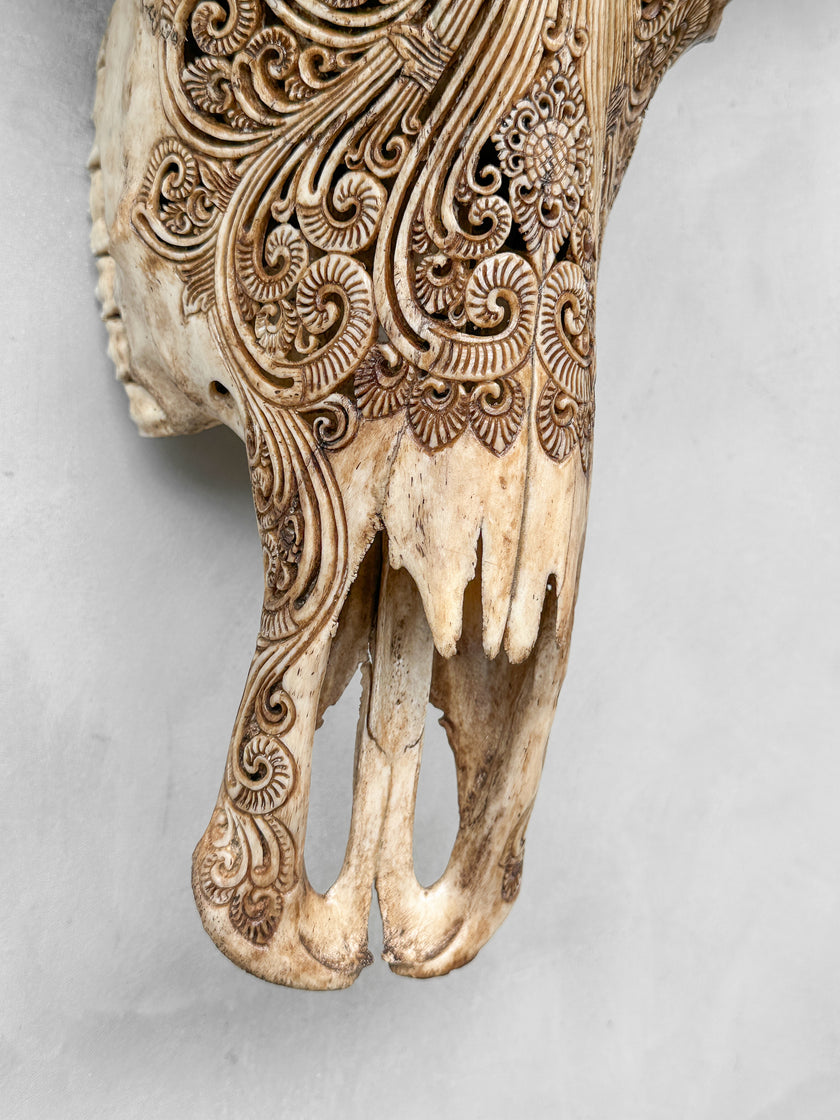 Caved Waterbuffalo Skulls with Ganesha Carving Skull,A/091