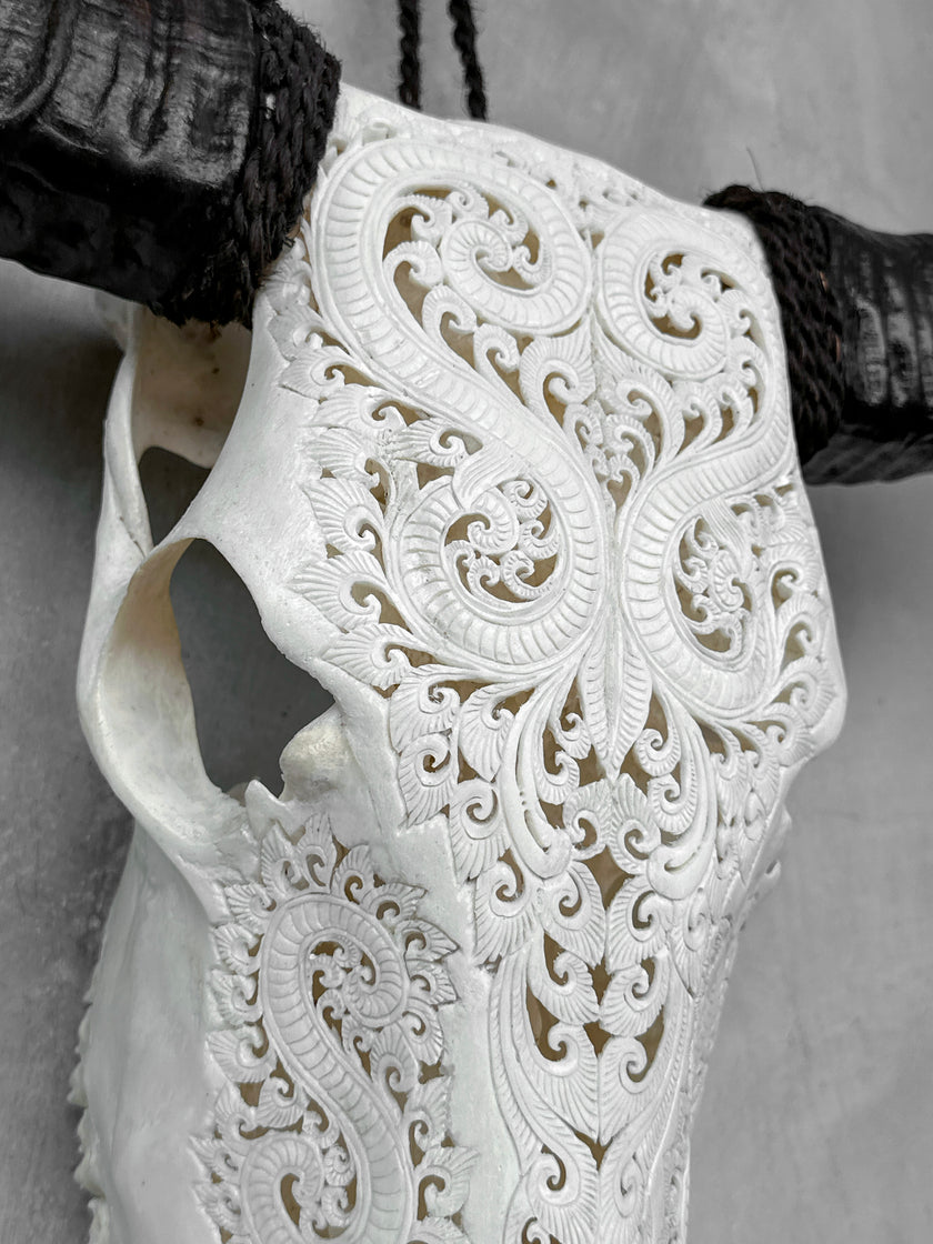 Carved Buffalo Skull with Leaf Motif - White Wall Art Decor for Boho, Rustic & Eclectic Interiors