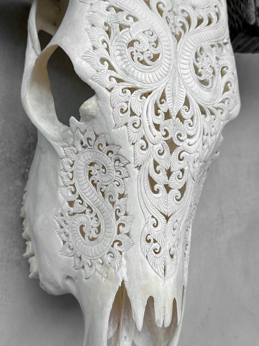 Carved Buffalo Skull with Leaf Motif - White Wall Art Decor for Boho, Rustic & Eclectic Interiors