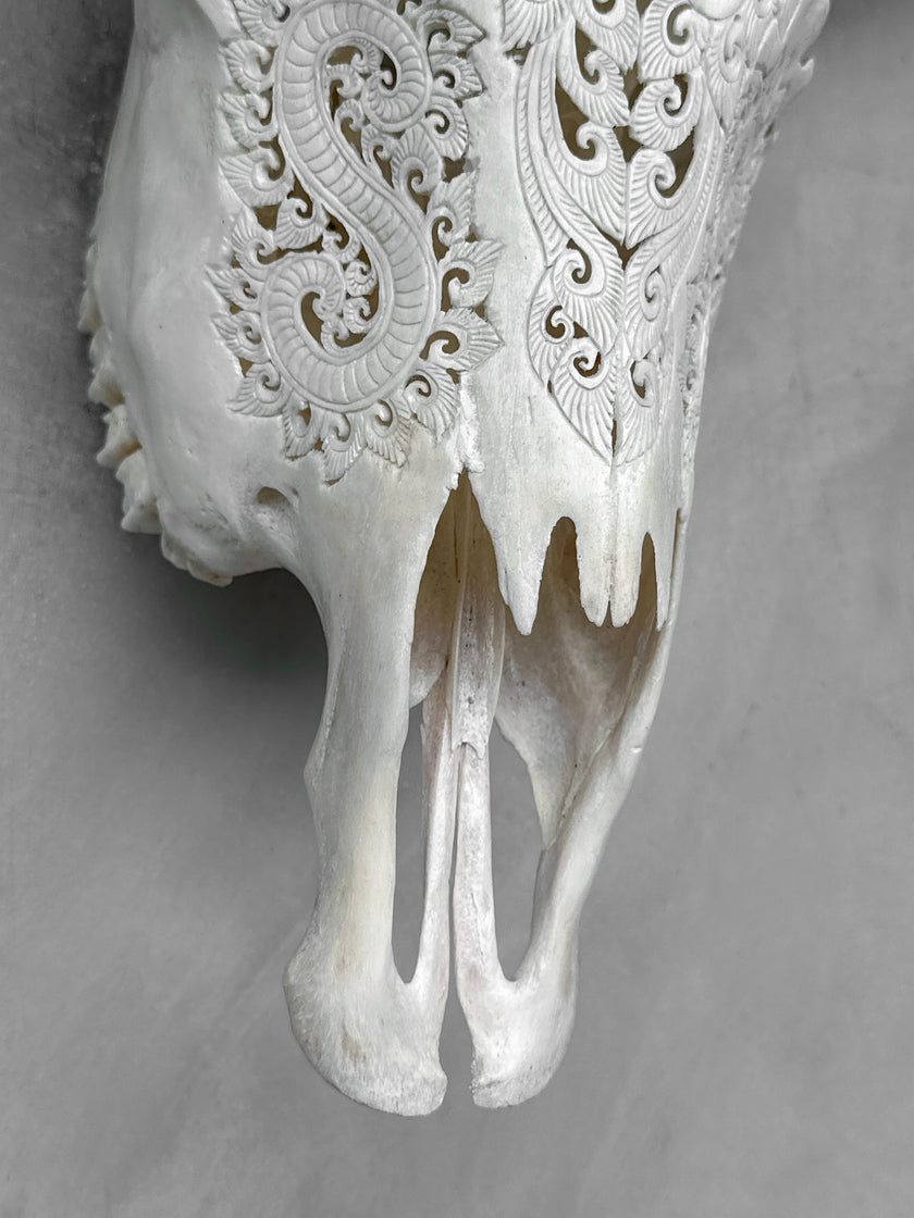 Carved Buffalo Skull with Leaf Motif - White Wall Art Decor for Boho, Rustic & Eclectic Interiors