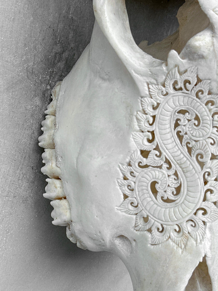 Carved Buffalo Skull with Leaf Motif - White Wall Art Decor for Boho, Rustic & Eclectic Interiors