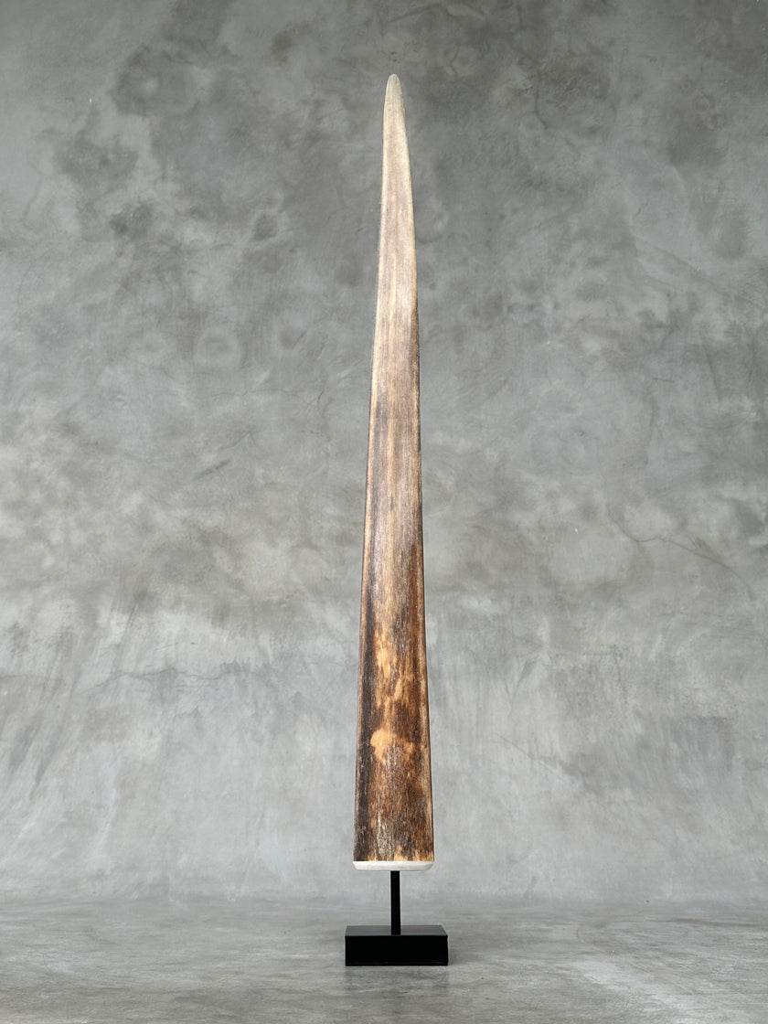 Swordfish - Vertical  - Tusk,A/001