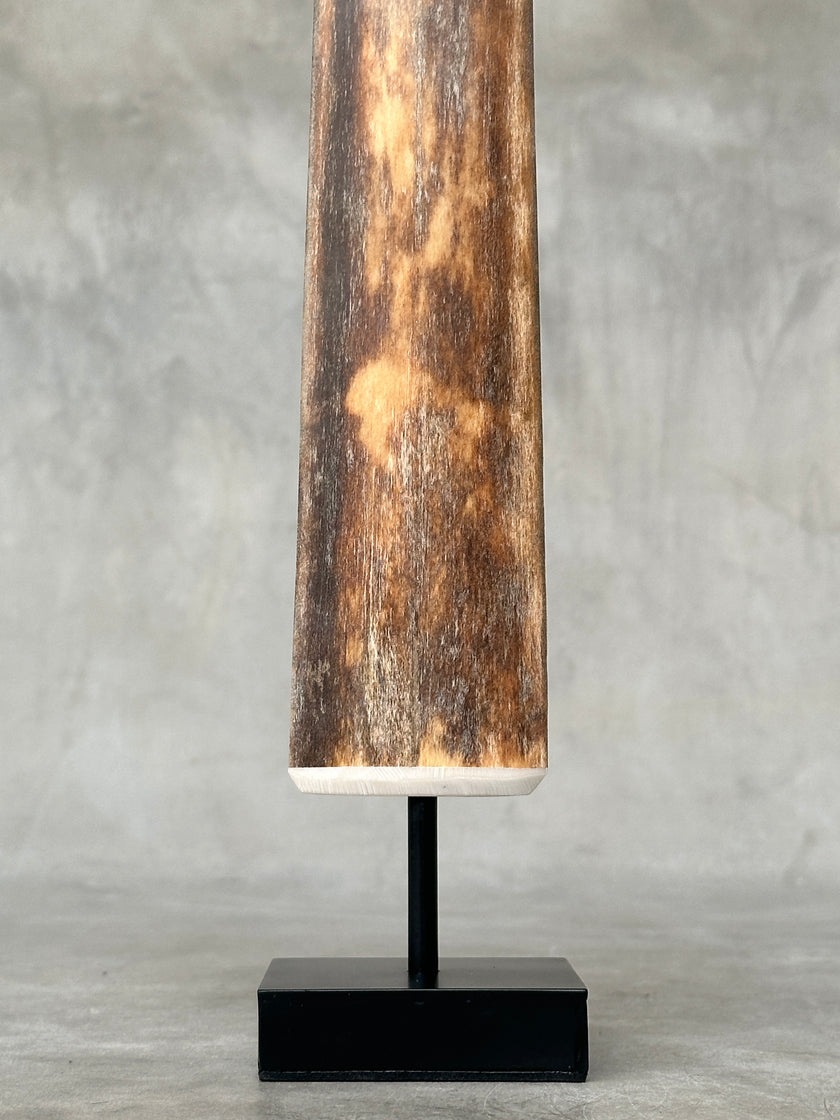 Swordfish - Vertical  - Tusk,A/001