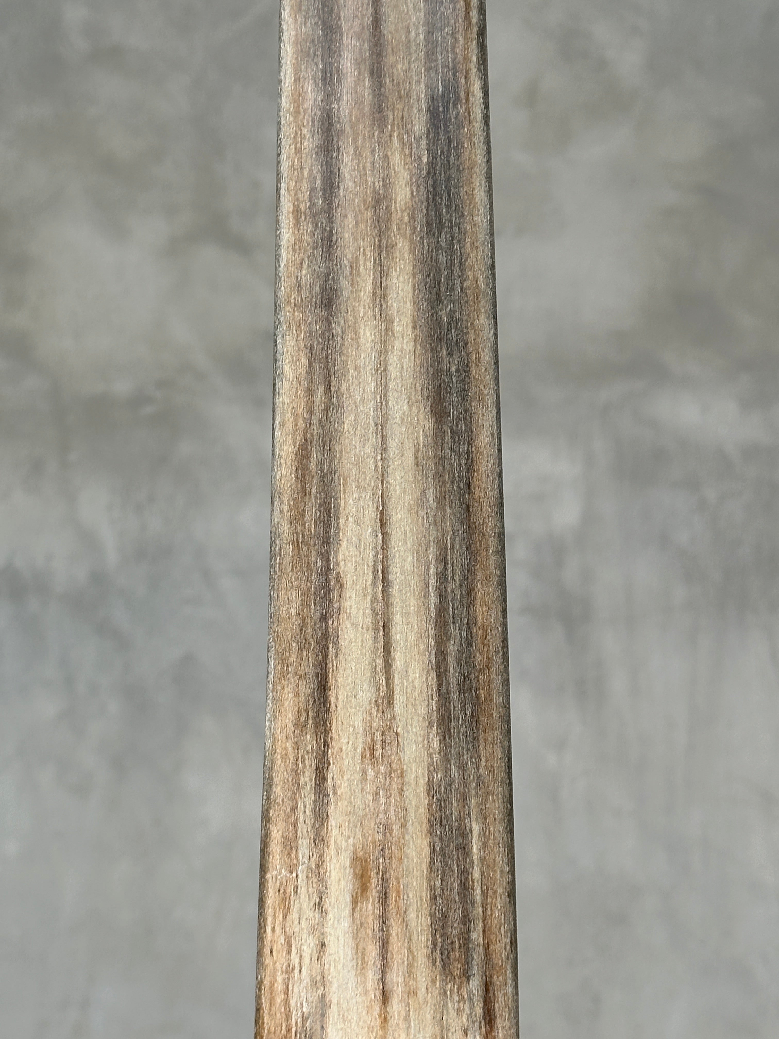 Swordfish - Vertical  - Tusk,A/001