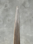 Swordfish - Vertical  - Tusk,A/001