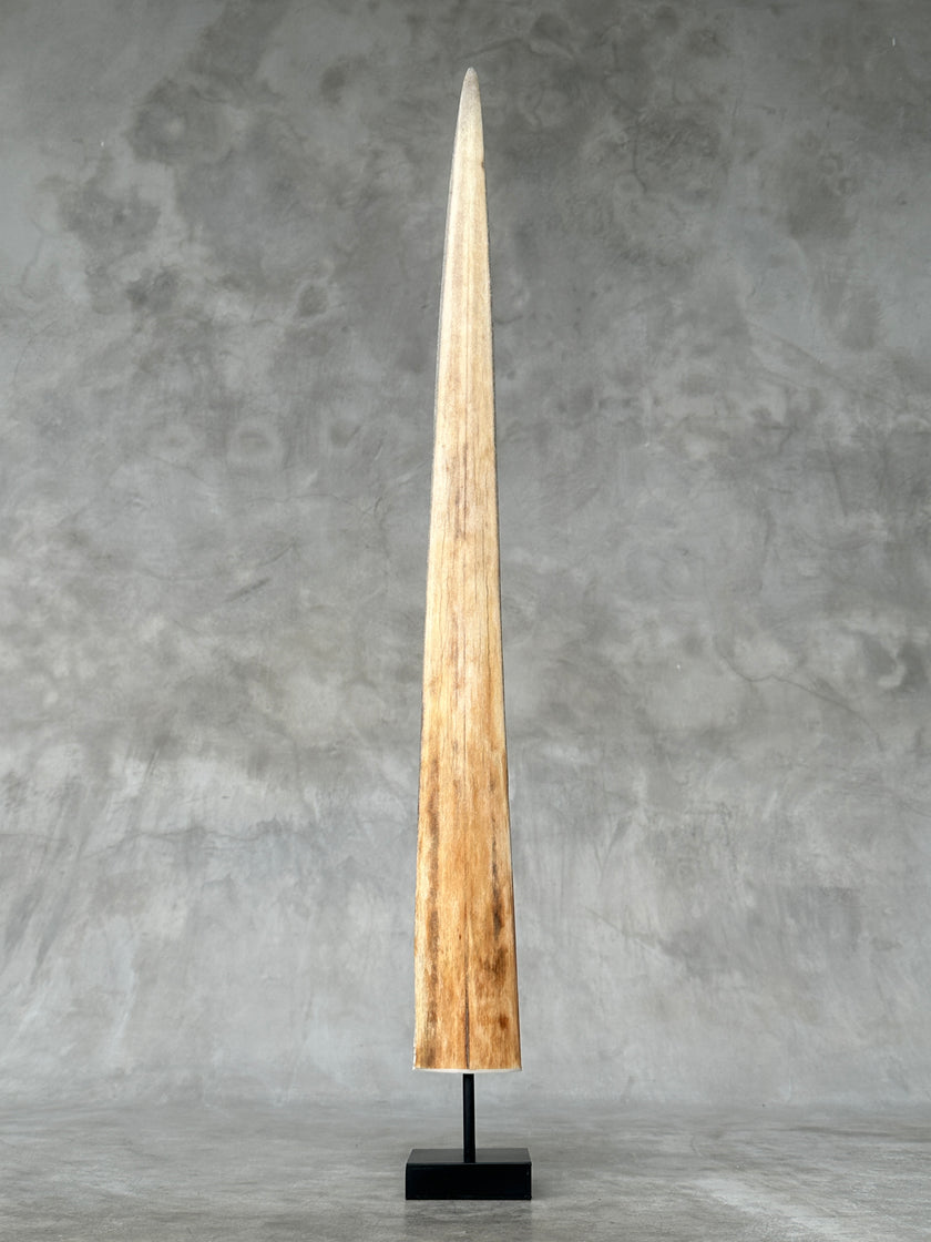 Swordfish - Vertical  - Tusk,A/003