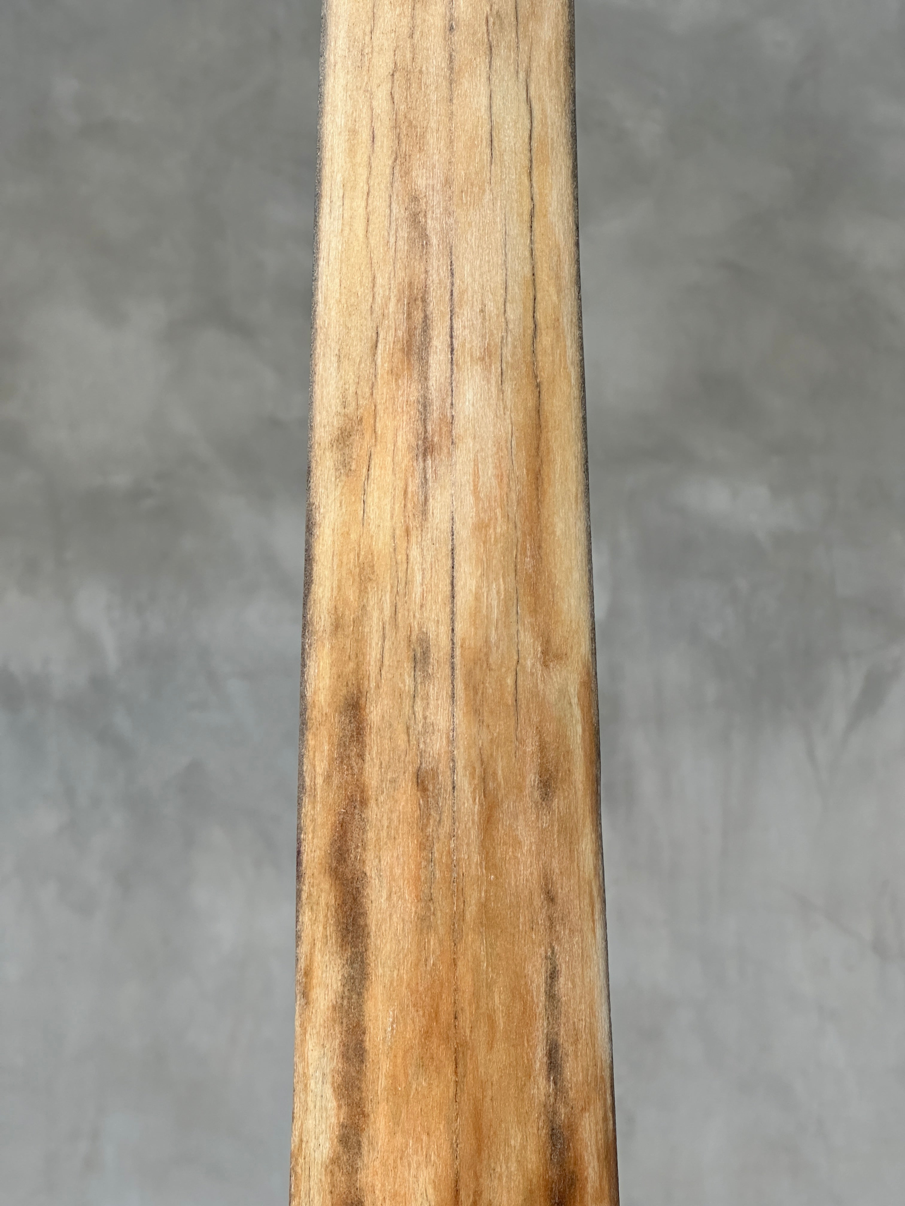 Swordfish - Vertical  - Tusk,A/003