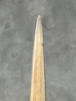 Swordfish - Vertical  - Tusk,A/003