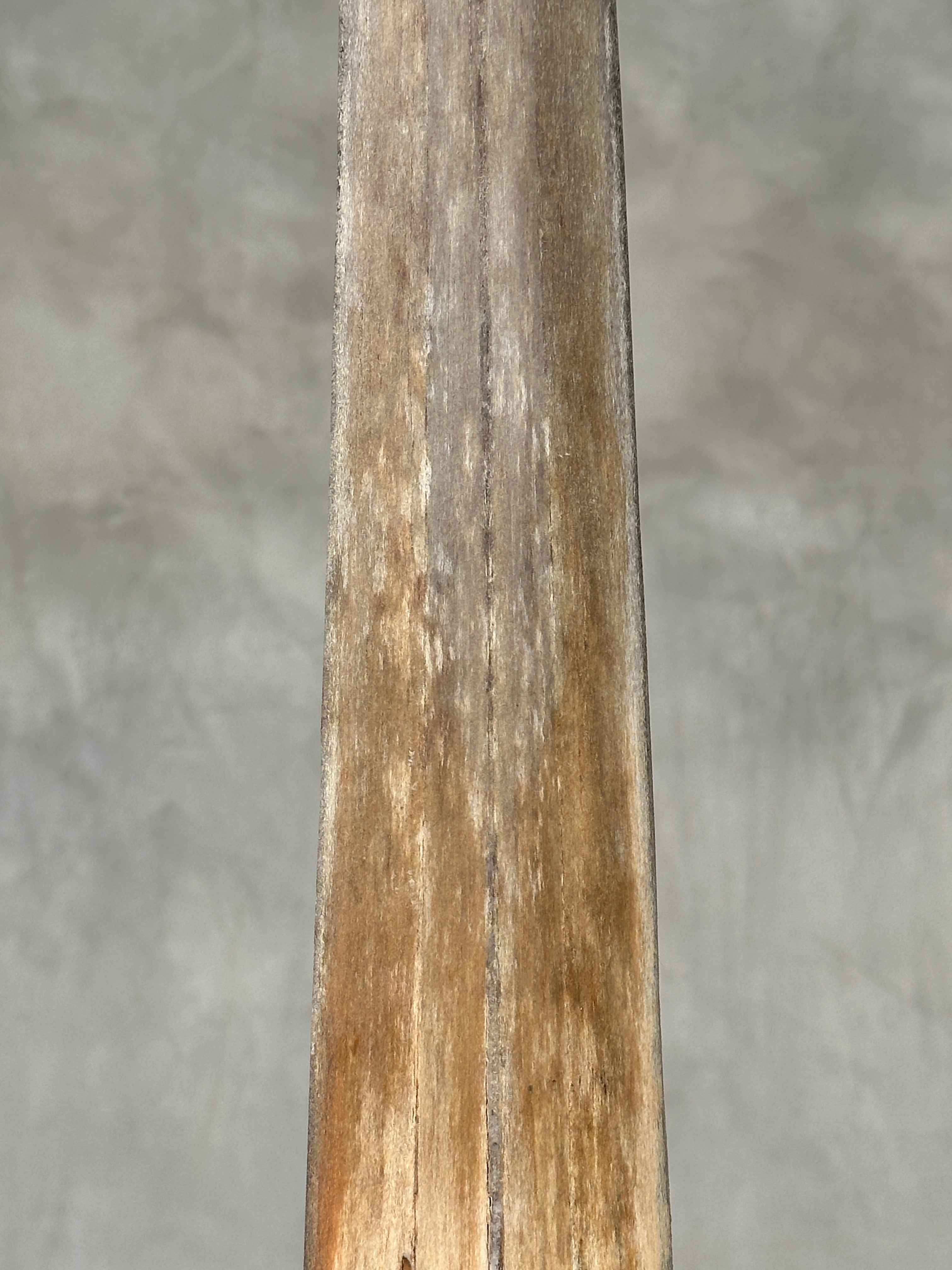 Swordfish - Vertical  - Tusk,A/003