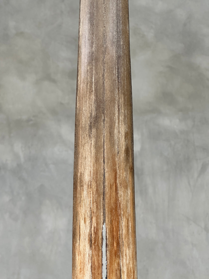 Swordfish - Vertical  - Tusk,A/007