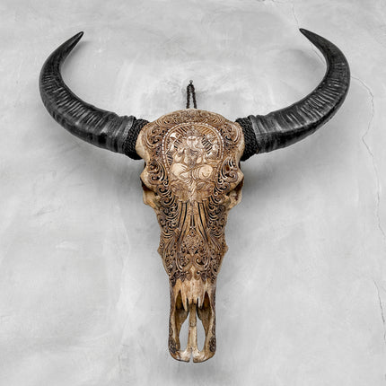 Caved Waterbuffalo Skulls with Ganesha Carving Skull,A/101