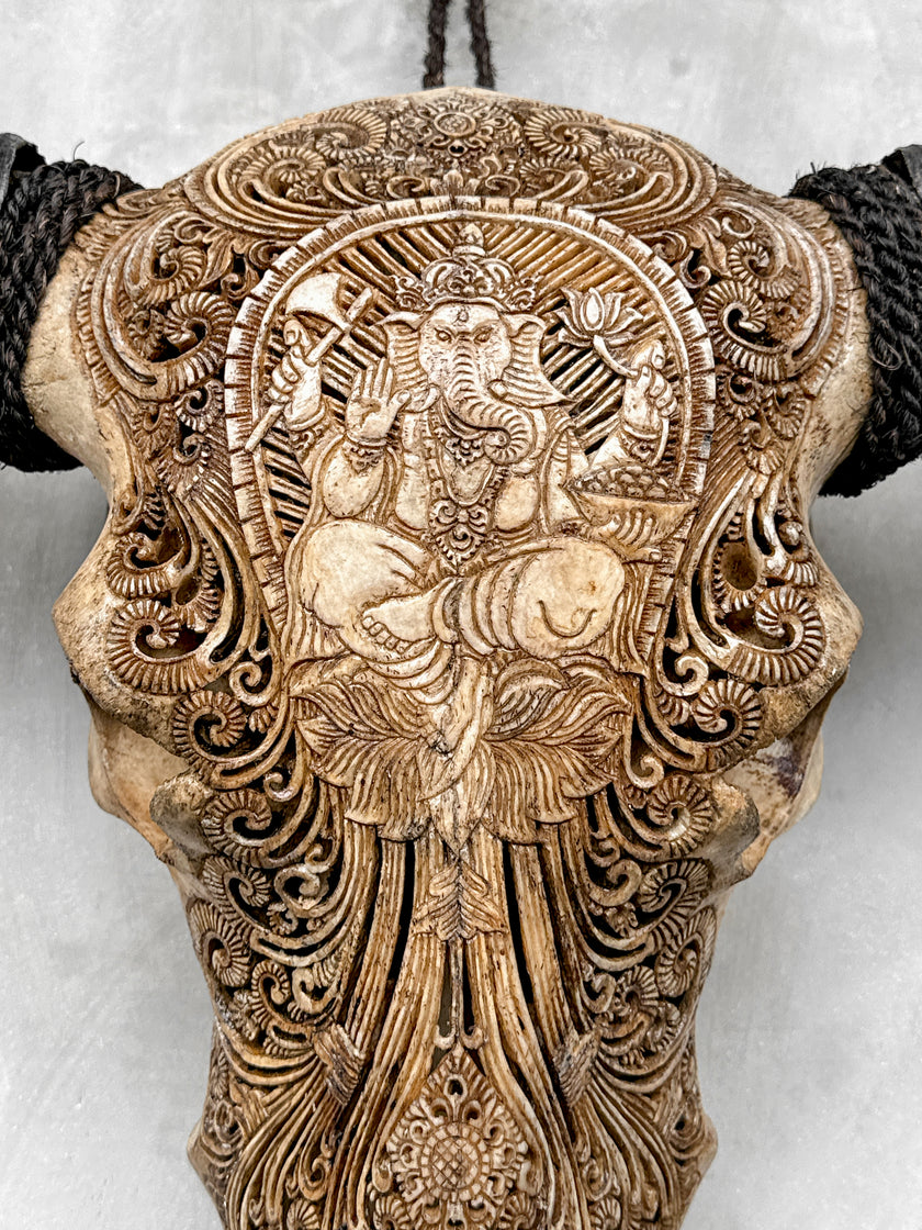 Caved Waterbuffalo Skulls with Ganesha Carving Skull,A/101
