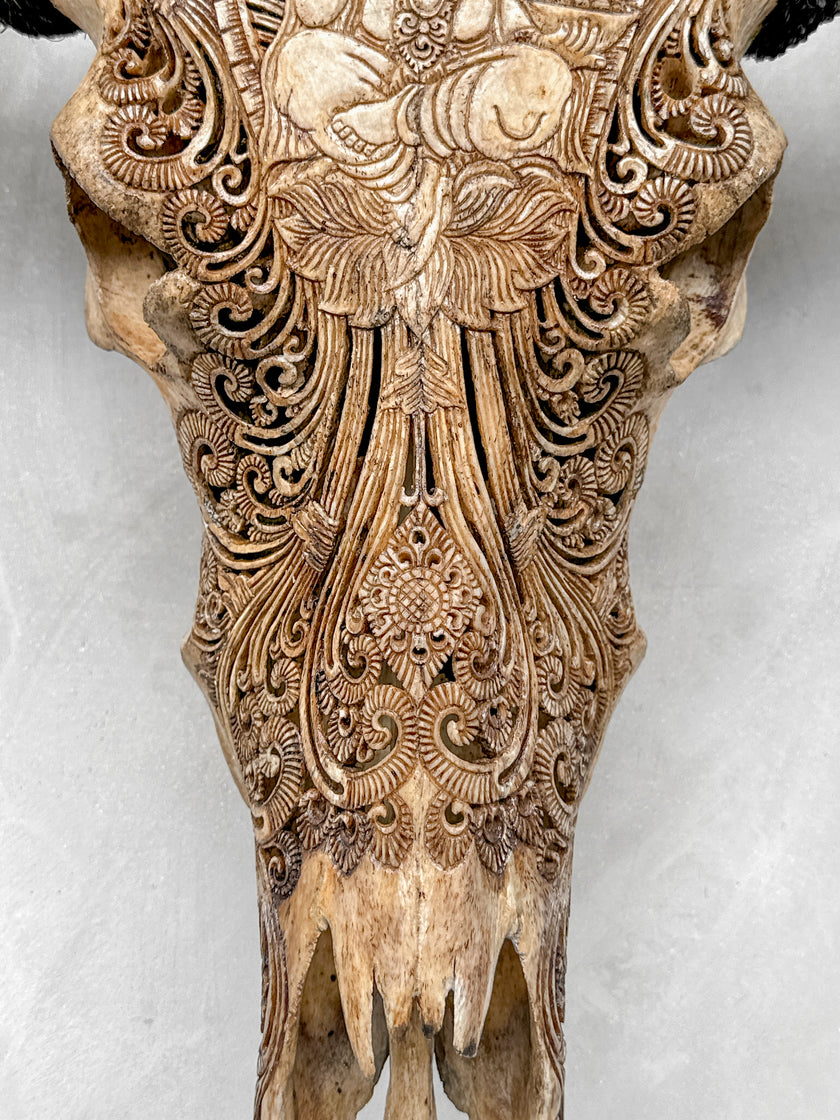 Caved Waterbuffalo Skulls with Ganesha Carving Skull,A/101