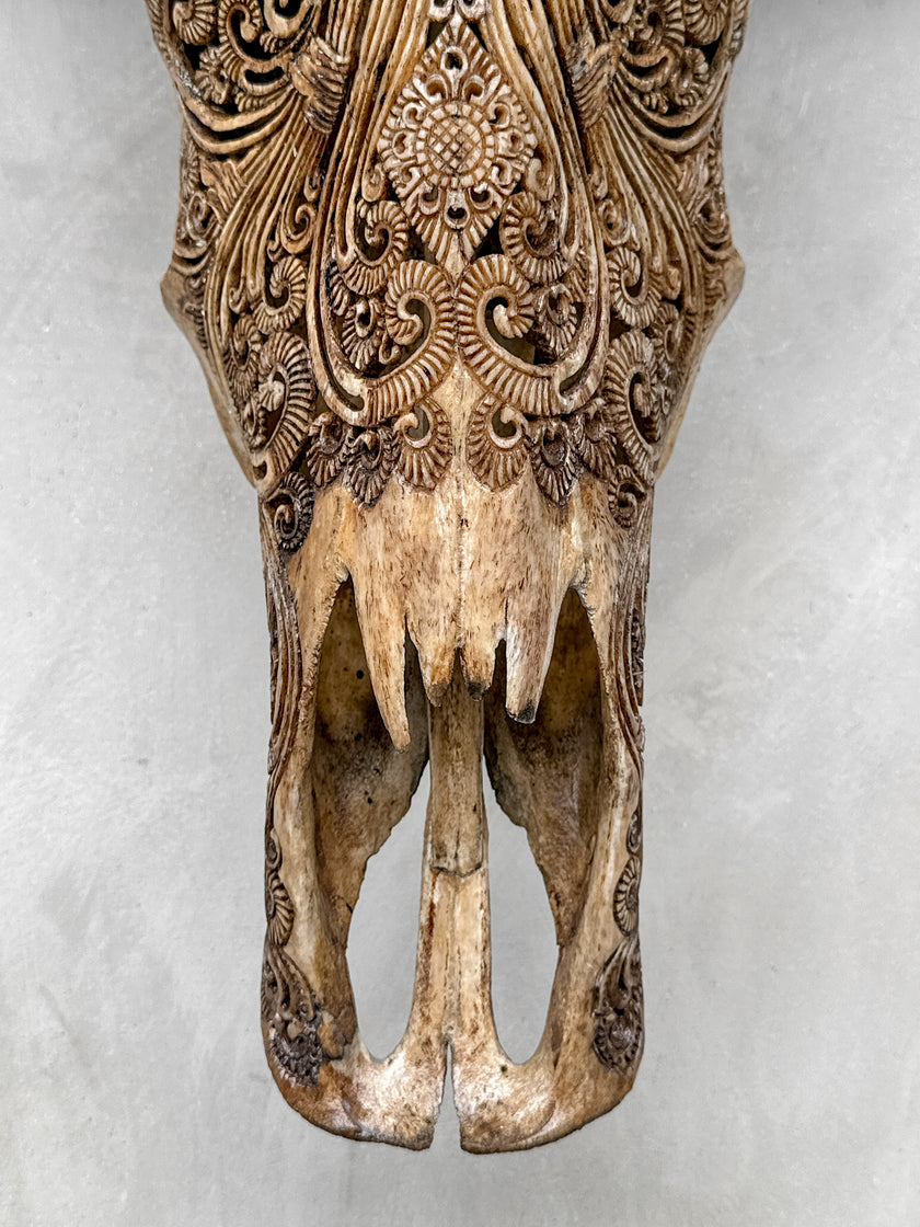 Caved Waterbuffalo Skulls with Ganesha Carving Skull,A/101