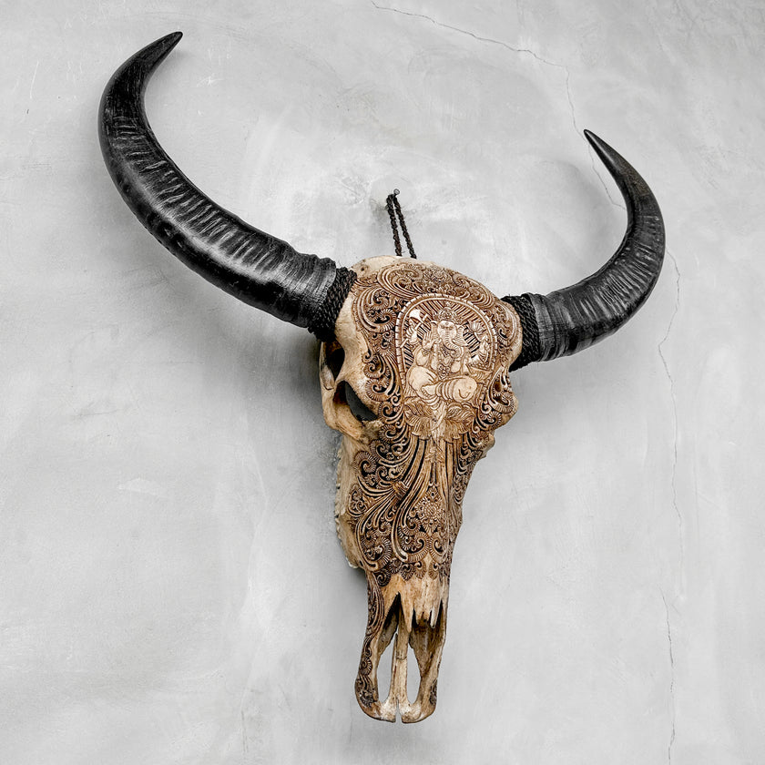 Caved Waterbuffalo Skulls with Ganesha Carving Skull,A/101