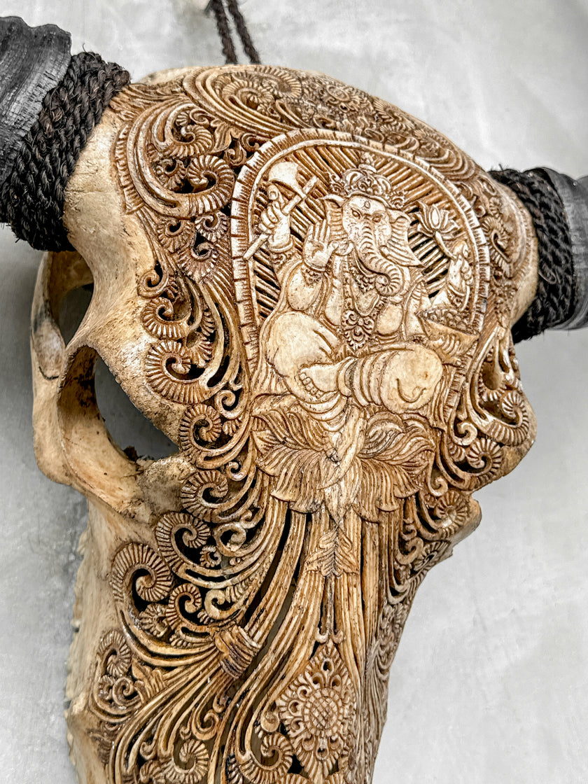 Caved Waterbuffalo Skulls with Ganesha Carving Skull,A/101