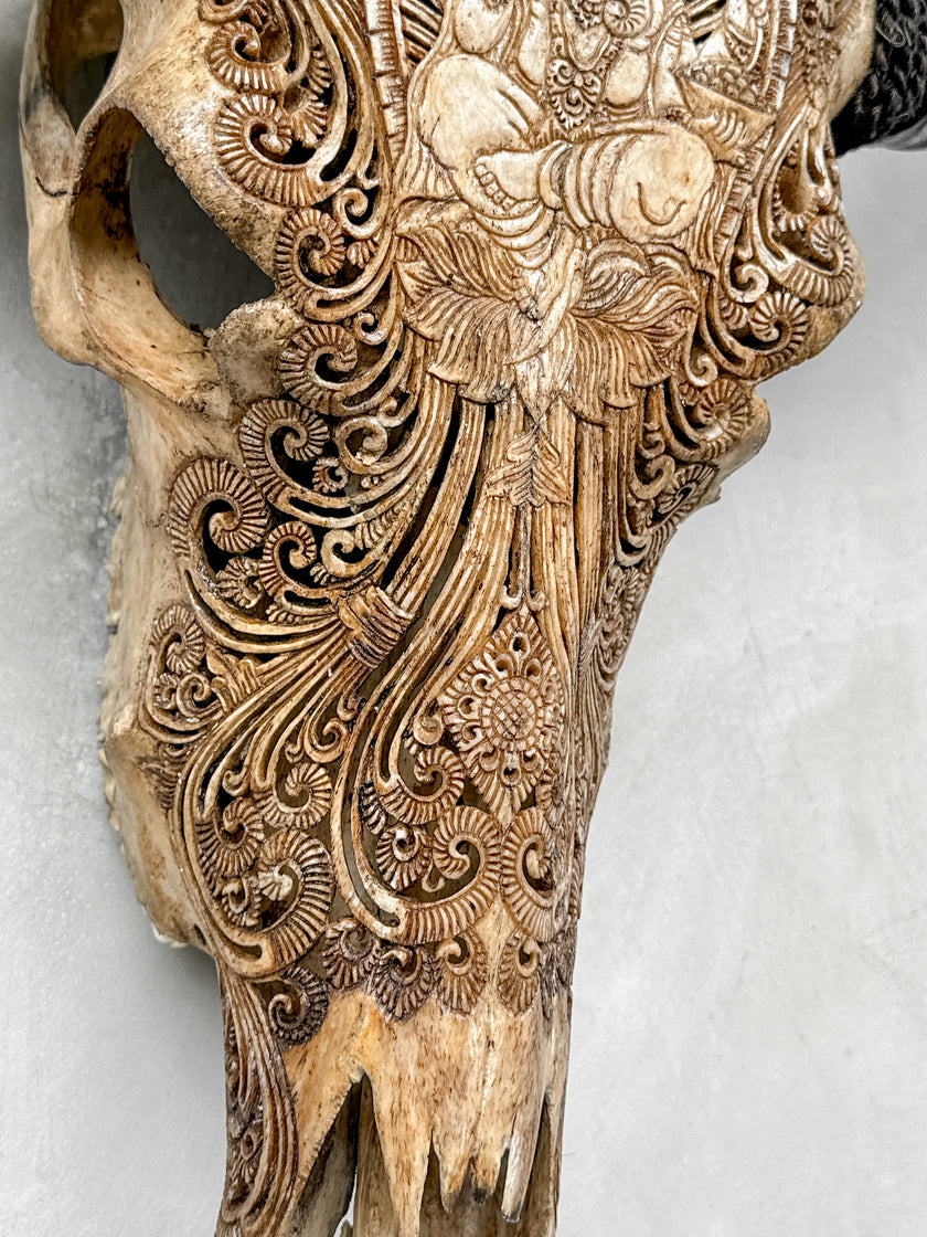 Caved Waterbuffalo Skulls with Ganesha Carving Skull,A/101