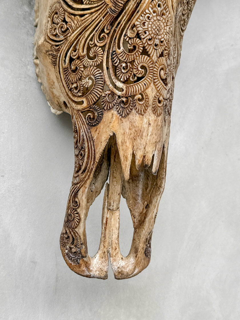 Caved Waterbuffalo Skulls with Ganesha Carving Skull,A/101
