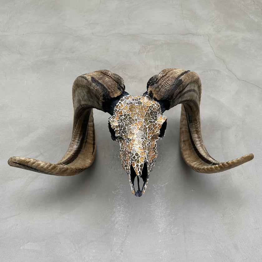 Glass Mosaic Skull 23/ETSY/533