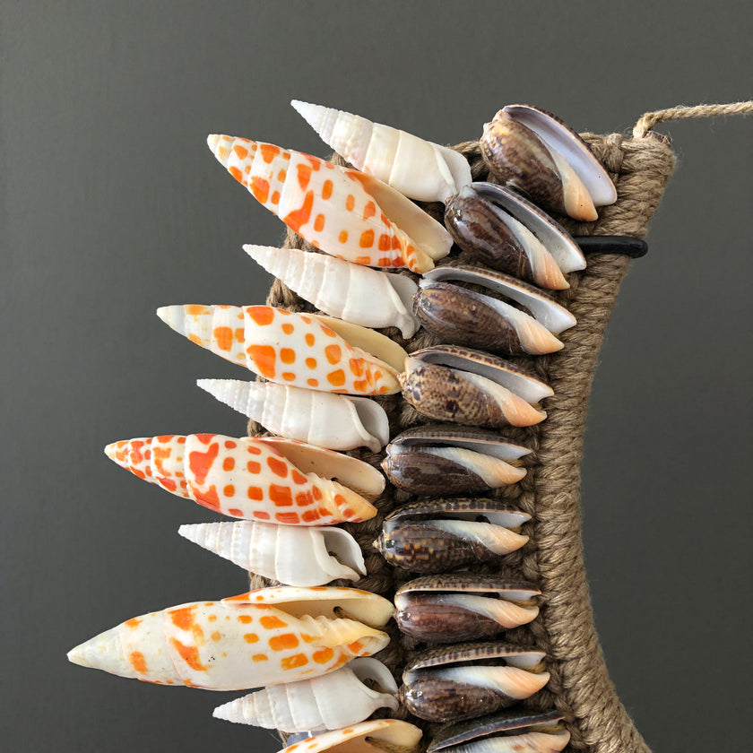SN11 - Decorative Shell Necklace on a custom Stand - Large Burnt Orange Miter and Natural Fibres - 23/SN/022