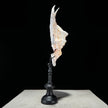 Spider Conch Shell on Stand -T2/352