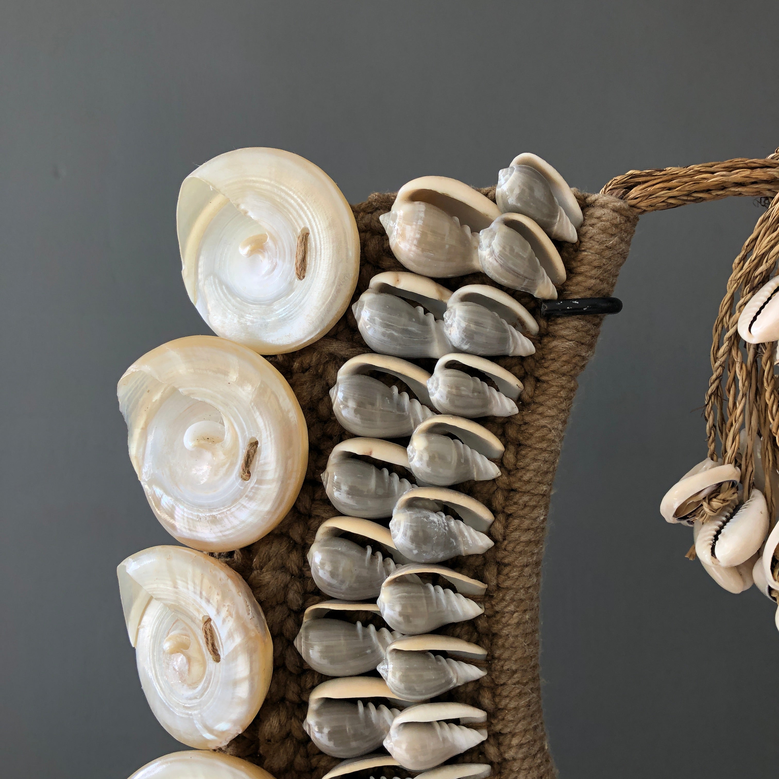 SN13 - Decorative shell necklace on a custom stand - 22/EX/362