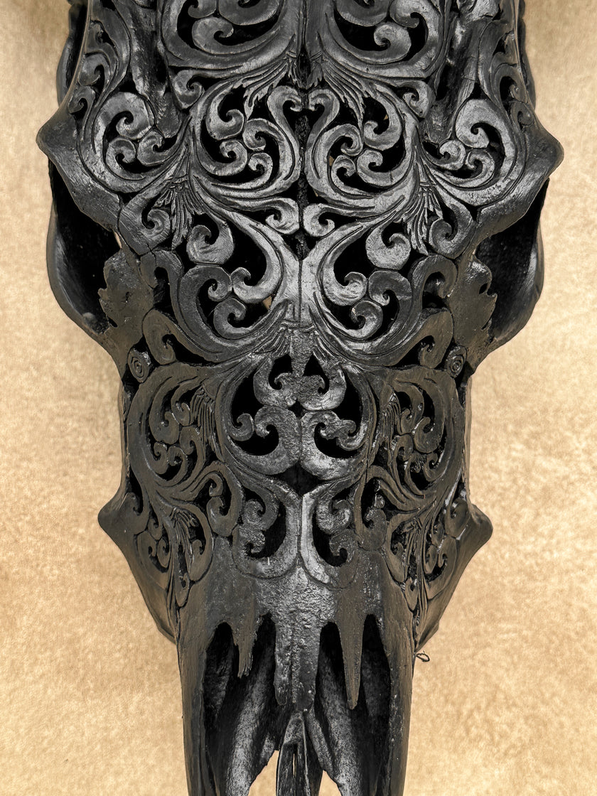 Carved Cow Skulls with Tradball Carving Skull,A/069